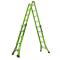 Little Giant Dark Horse 2.0 Type 1A Ladder